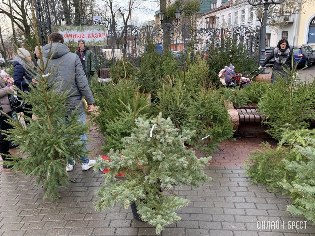 Новогодние ярмарки и елочные базары в Бресте: где купить подарки и украшения