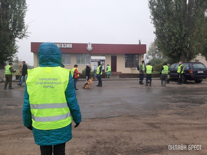 Фото носит иллюстративный характер