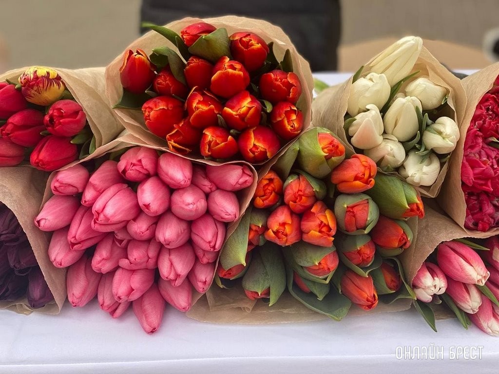 Фото носит иллюстративный характер