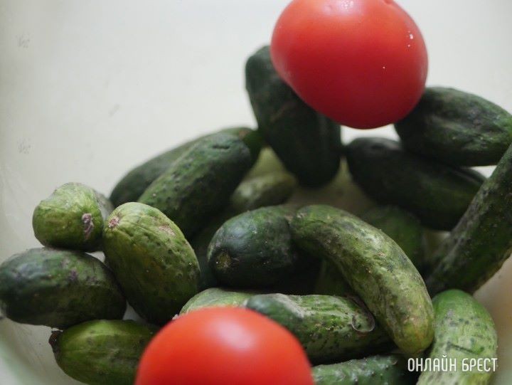 Огурец