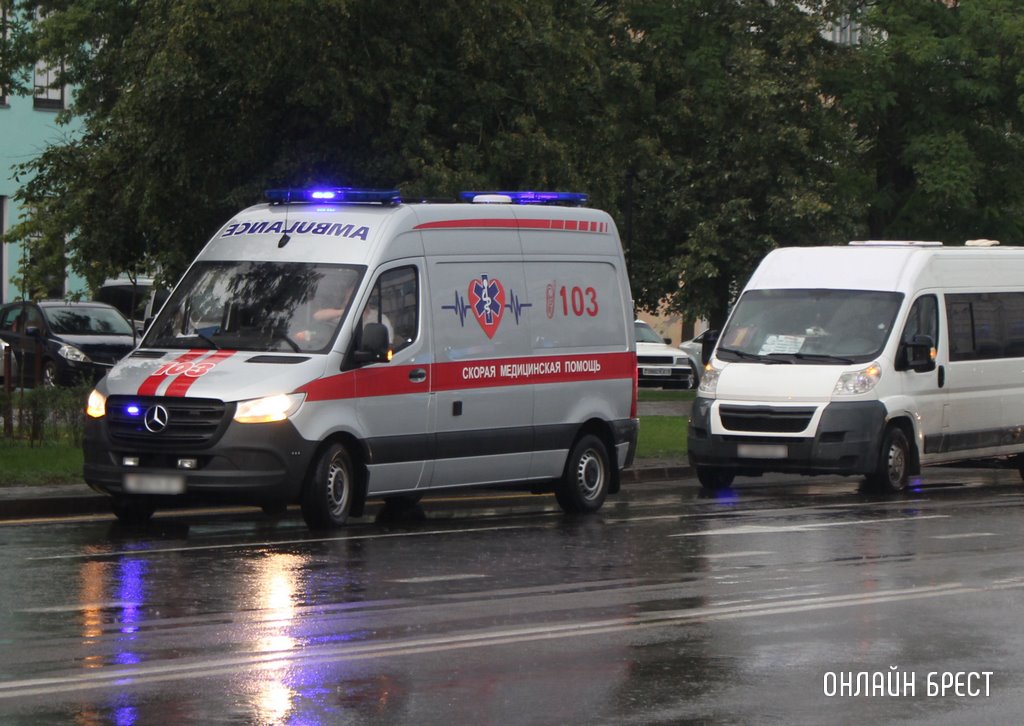 Фото носит иллюстративный характер