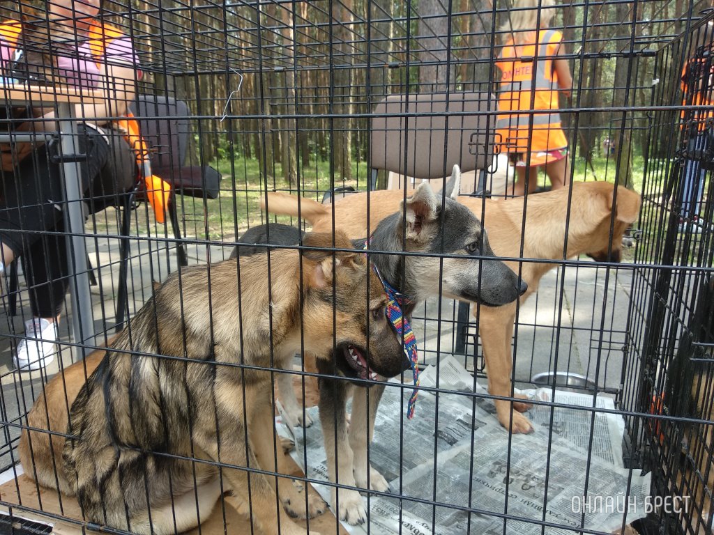 Фото из открытых источников (иллюстративное)