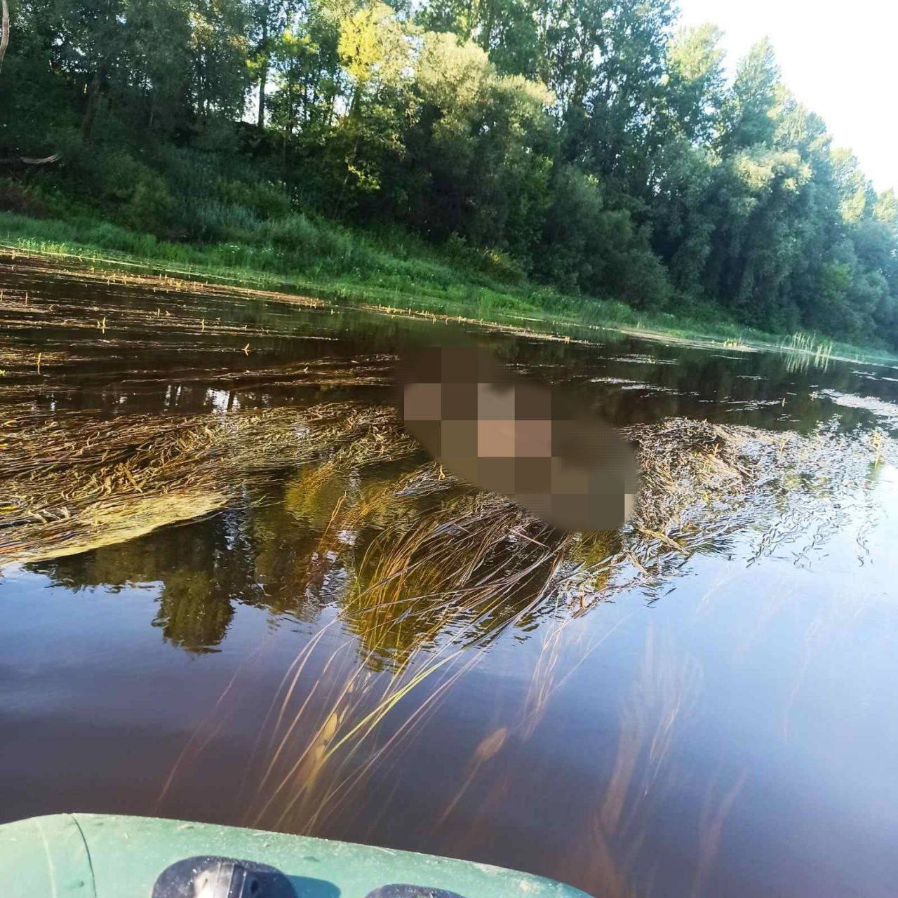 Установлена личность девушки, которую нашли в реке спустя 2,5 года поисков