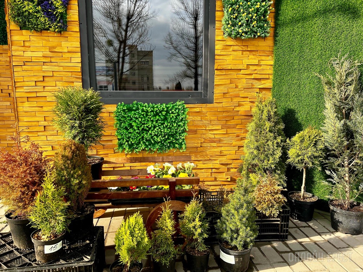 В честь открытия подарили женщинам 2500 тюльпанов! В Бресте открылась цветочная мастерская «La Buton»