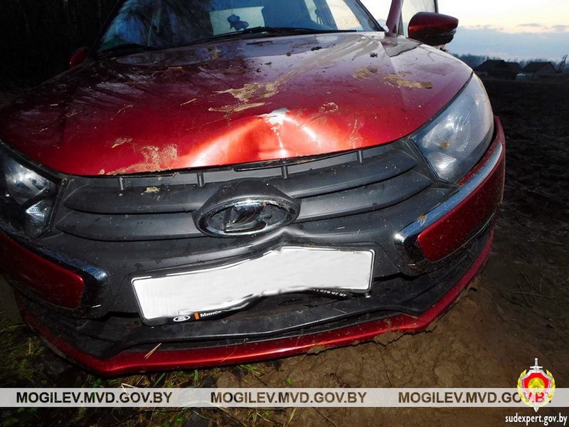 Пьяный житель Брестской области с другом угнали авто и пытались его сжечь