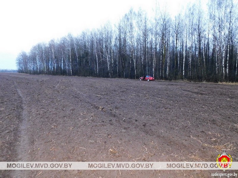 Пьяный житель Брестской области с другом угнали авто и пытались его сжечь