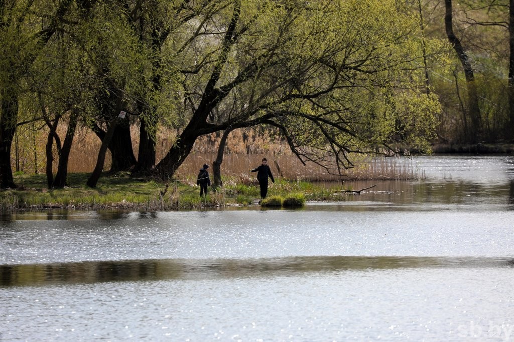 В Бресте ввели в строй пятый участок реконструированной набережной. И это еще не все