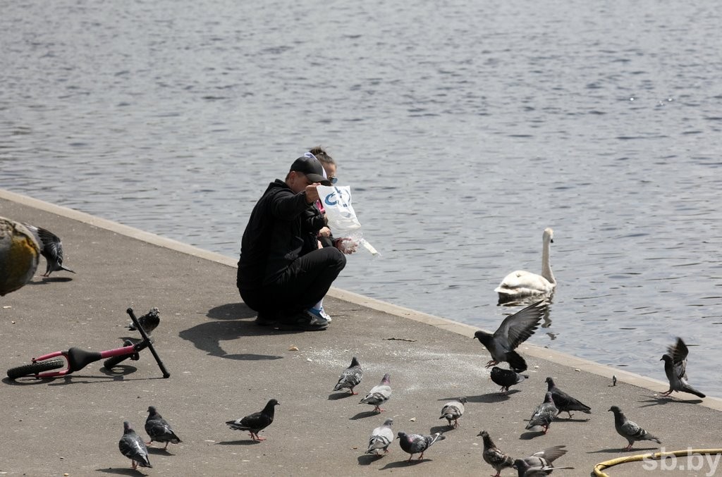 В Бресте ввели в строй пятый участок реконструированной набережной. И это еще не все