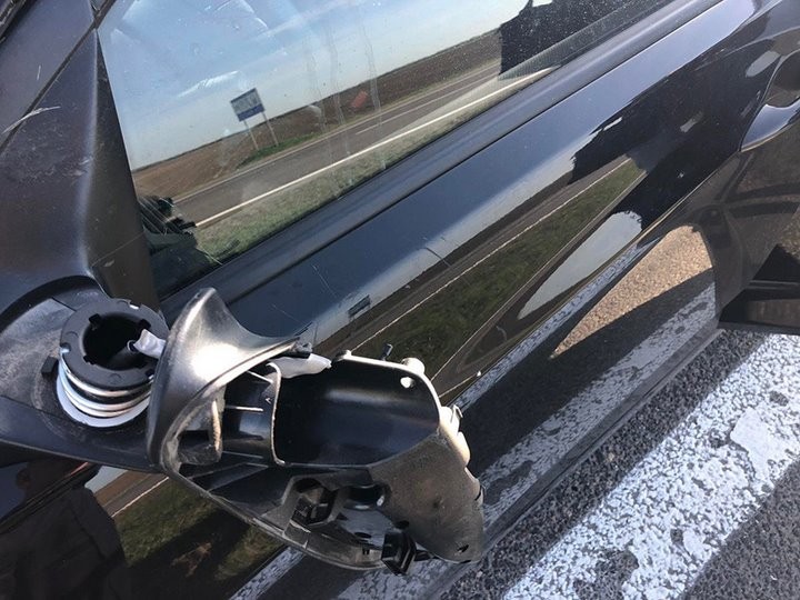 Названы трассы в Беларуси, где чаще всего случаются наезды на диких животных