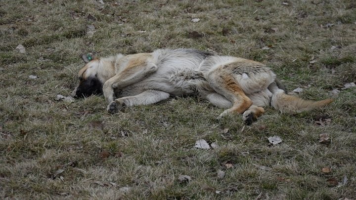 Фото из открытых источников (иллюстративное)