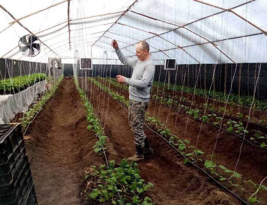 Из Бреста на усадьбу прадеда в Голенчицах приезжают работать и отдохнуть