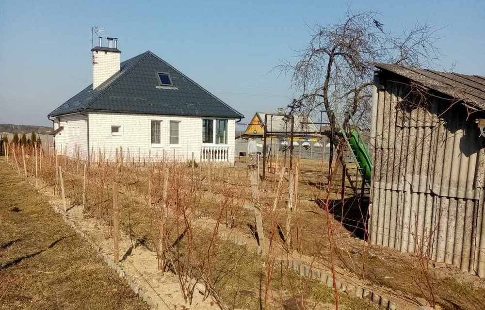 Из Бреста на усадьбу прадеда в Голенчицах приезжают работать и отдохнуть