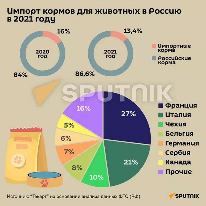В Беларуси штормит рынок зоотоваров: чем будем кормить кошек и собак?