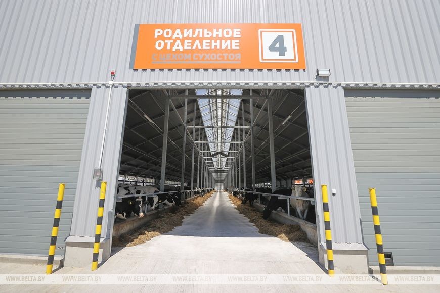 В Кобринском районе открыли современную ферму, где молоко будет только «экстра»