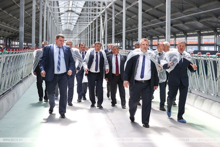 В Кобринском районе открыли современную ферму, где молоко будет только «экстра»