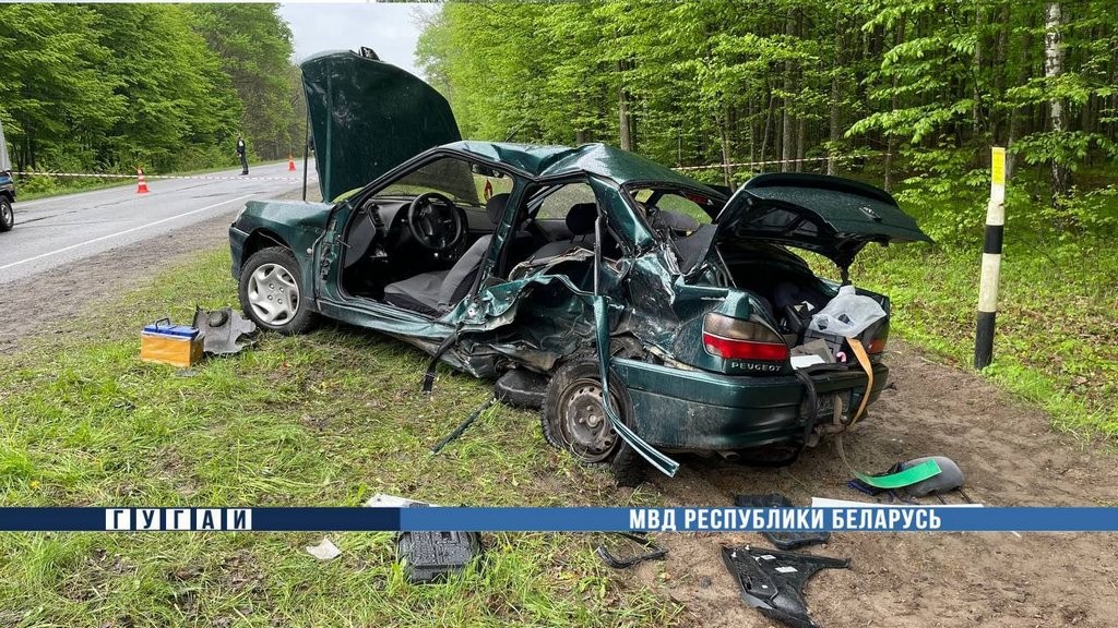 Двое детей погибли в лобовом столкновении автомобилей на автодороге M10