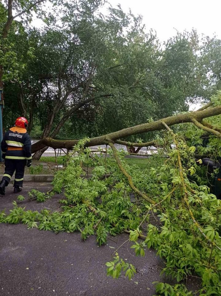 Досталось и машине. Последствия непогоды в Бресте