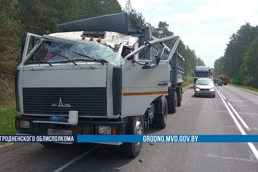 Сбитый лось приземлился на крышу ехавшего МАЗа. Погиб водитель легковушки