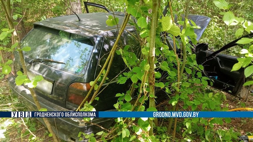 Сбитый лось приземлился на крышу ехавшего МАЗа. Погиб водитель легковушки