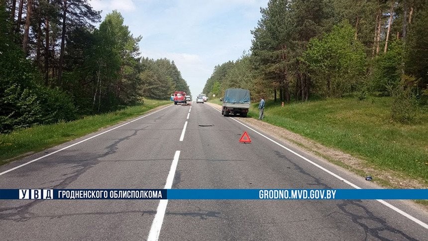 Сбитый лось приземлился на крышу ехавшего МАЗа. Погиб водитель легковушки