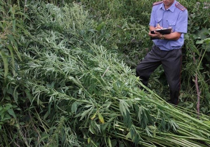 Фото из открытых источников (иллюстративное)