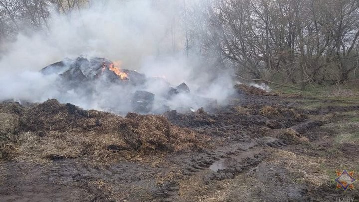 Уничтожено 20 тонн. В Каменецком районе горела скирда соломы