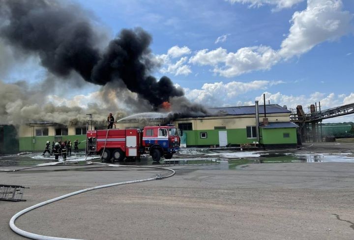 В Каменецком районе произошел пожар на «Агропродукте»