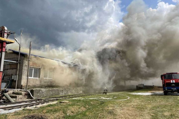 В Каменецком районе произошел пожар на «Агропродукте»