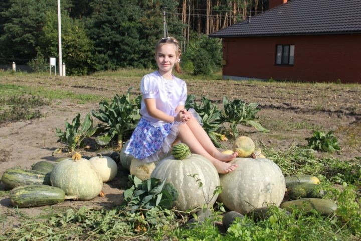 Тыкву в 23 килограмма вырастили в Каменце