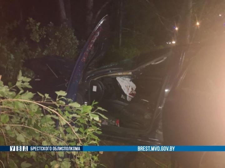 На трассу М1 выбежала лошадь. В результате ДТП погиб водитель