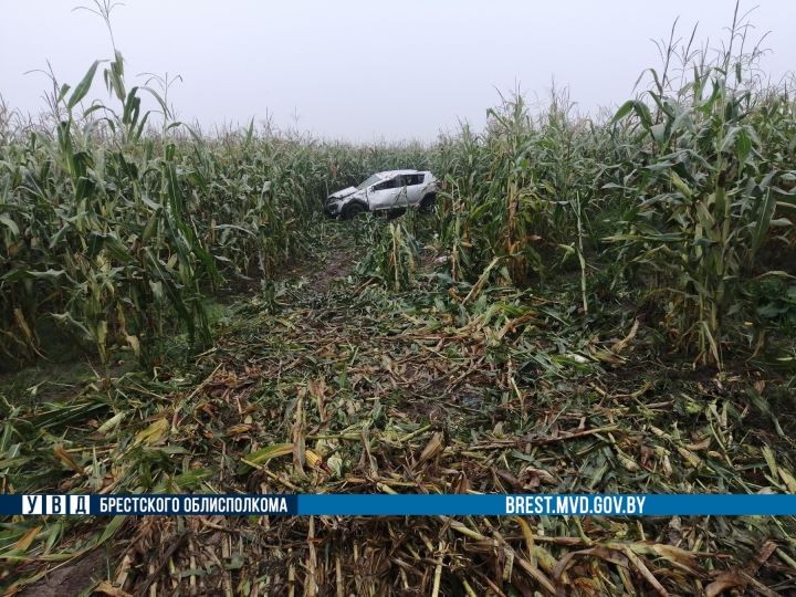 В Столинском районе 22-летняя автоледи съехала в кювет