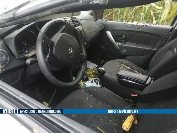 В Столинском районе 22-летняя автоледи съехала в кювет