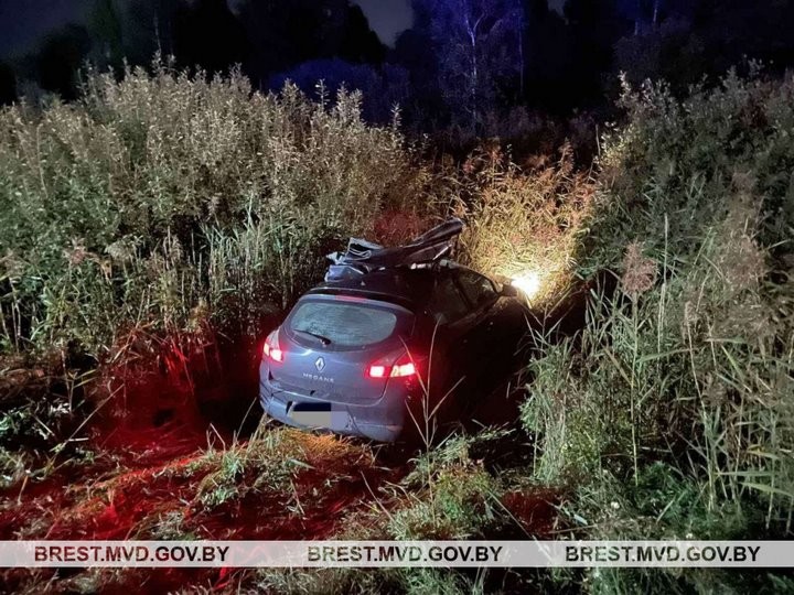 В Брестской области на трассе М1 водитель «Рено» врезался в лося