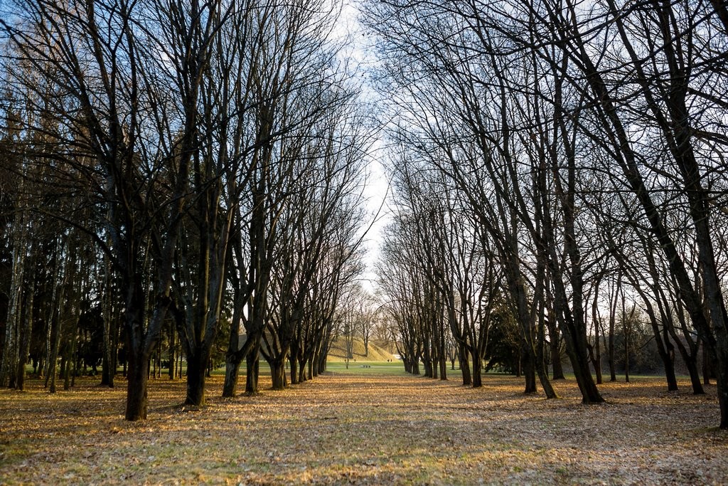 Почти исчезнувшая аллея в Брестской крепости. Куда она вела?