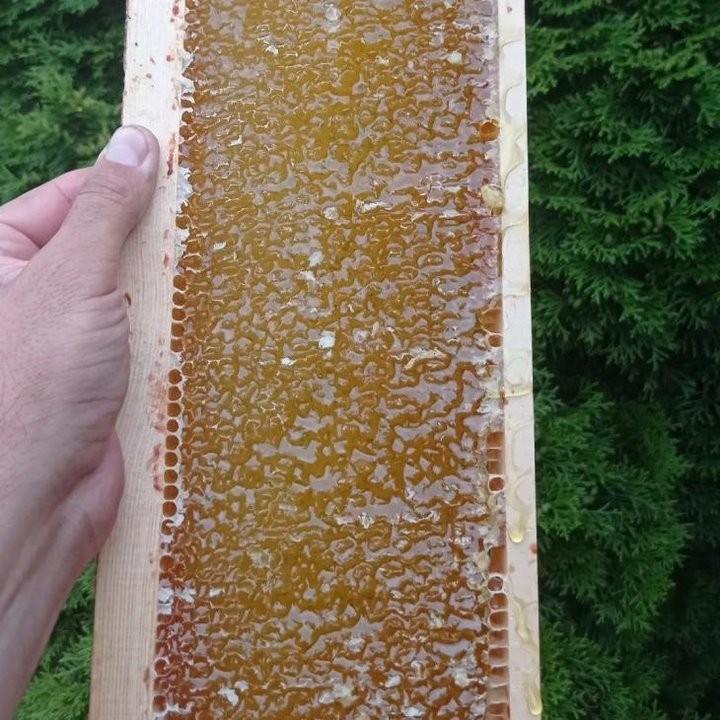 Увлечение родом из детства: как пчеловод из Кобрина продолжает дело родителей