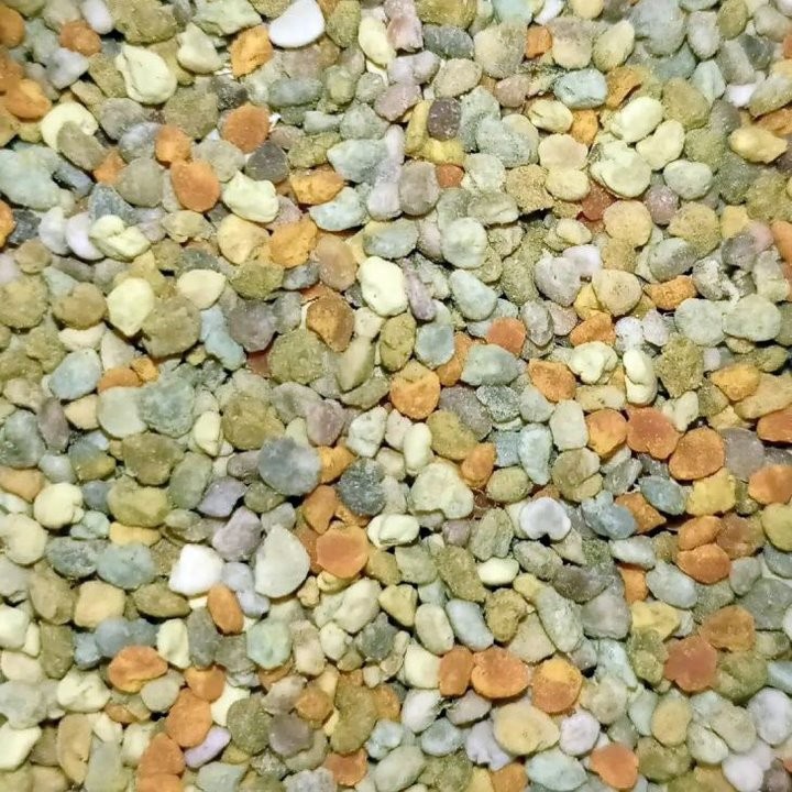 Увлечение родом из детства: как пчеловод из Кобрина продолжает дело родителей