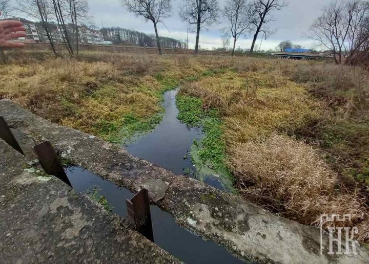 С берега и самой Пульвы не видно! В Высоком река «спряталась» в траве