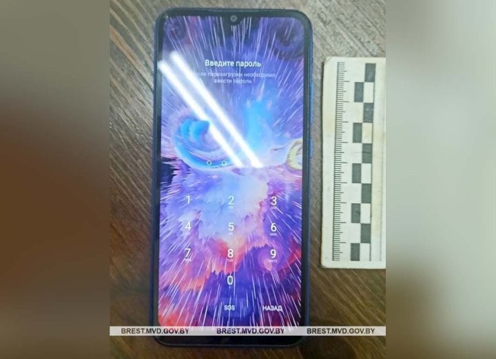 Пока хозяева спали, подруга похитила мобильный телефон. Случай в Брестской области