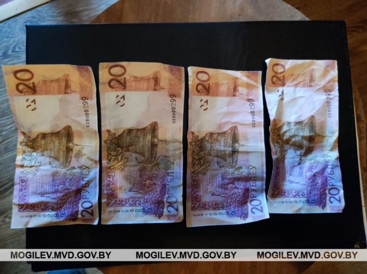 В Могилевской области нашли 20-рублевые купюры с одинаковым серийным номером. Что это было?