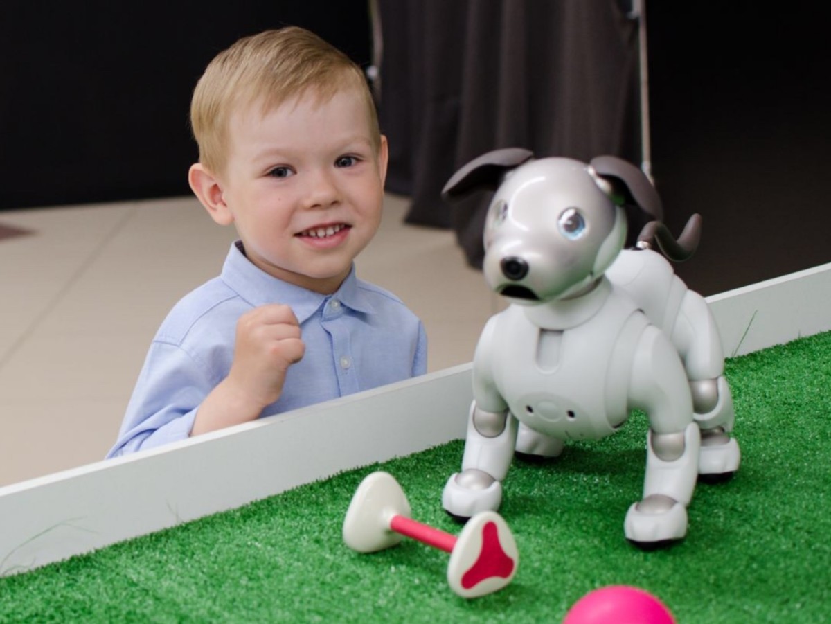 Мы знаем, где весело провести каникулы всей семьей: 85 роботов со всего света собрались на Московской в Бресте