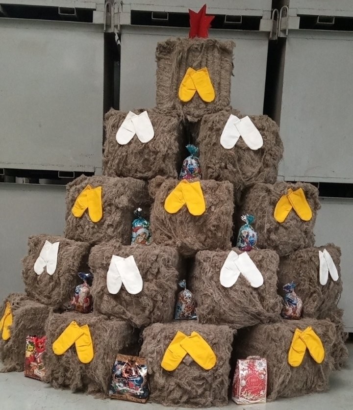 Елки в аграрных нарядах: Брестский обком профсоюза работников АПК подвел итоги конкурса