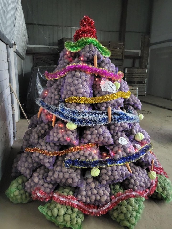 Елки в аграрных нарядах: Брестский обком профсоюза работников АПК подвел итоги конкурса