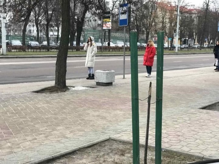 Вандалы «добрались» до деревьев, которые недавно высадили на Машерова в Бресте