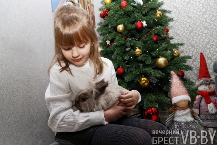 Самый «козырный» Тузик. Талисманом Бреста стал львиноголовый голландец. Знакомимся поближе!