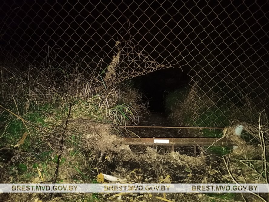 Бывший работник похитил с территории фермы 20 чугунных решеток