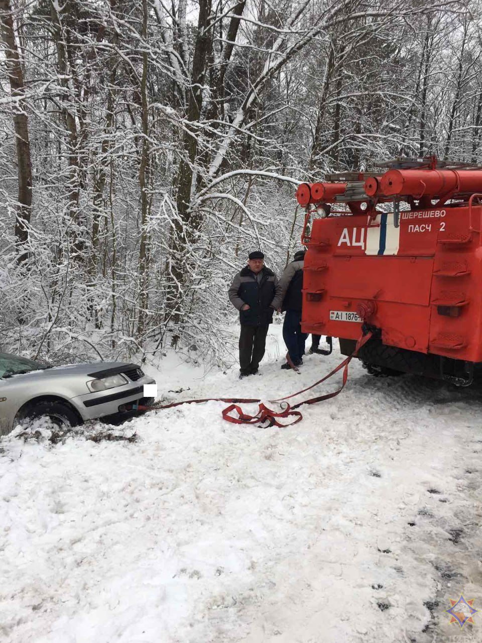В Бресте в результате падения деревьев повреждено пять машин