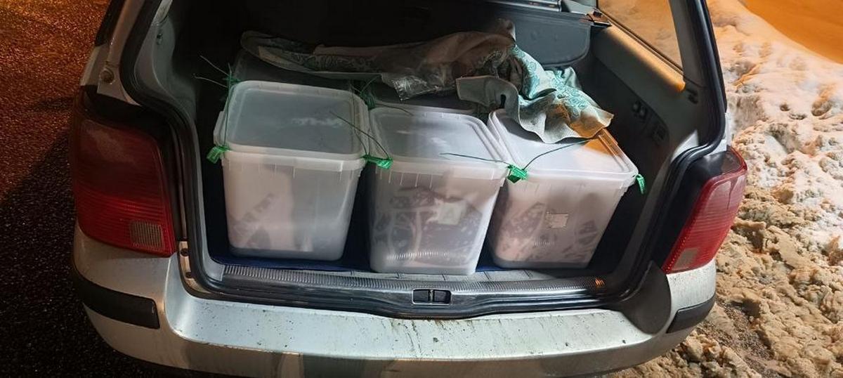 Красную икру решили проверить по дороге из-под Смоленска в Беларусь. Пришлось все уничтожить