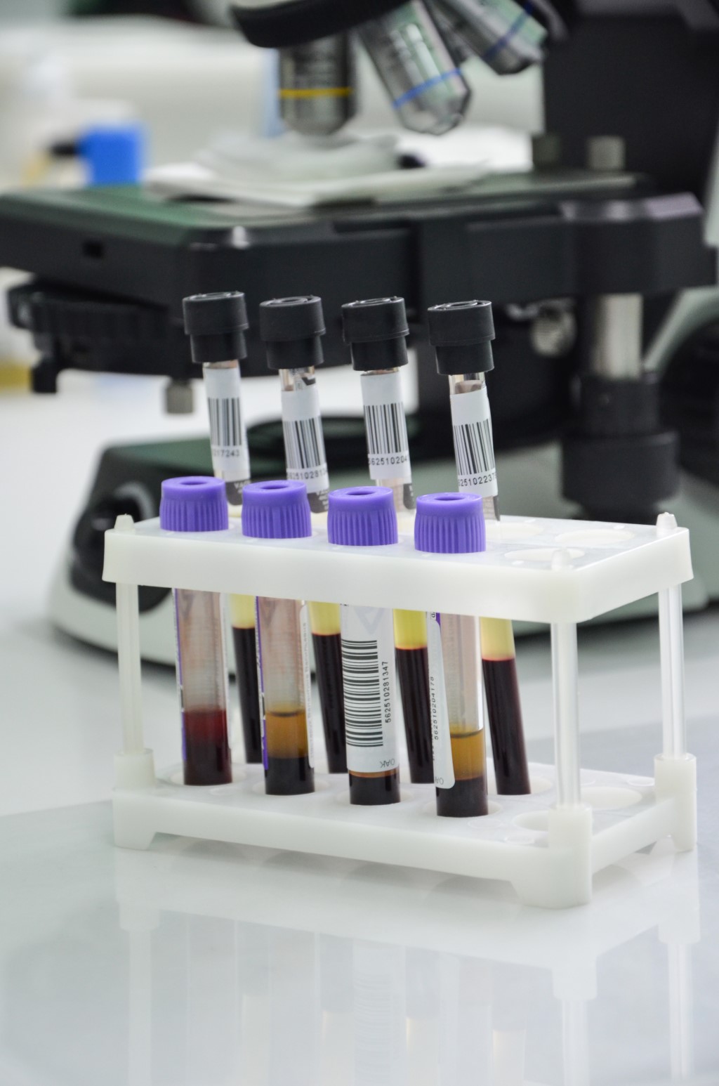 «ГОД СЕМЬИ» в ЛОДЭ – держим курс #наЗдоровье