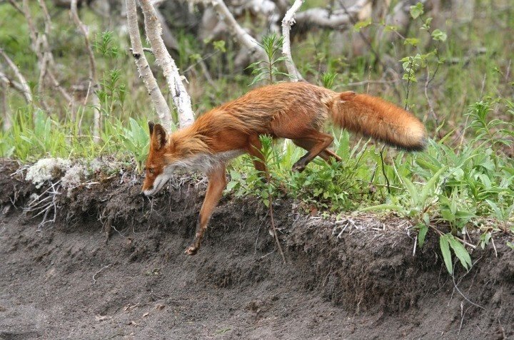 Фото из открытых источников (иллюстративное)