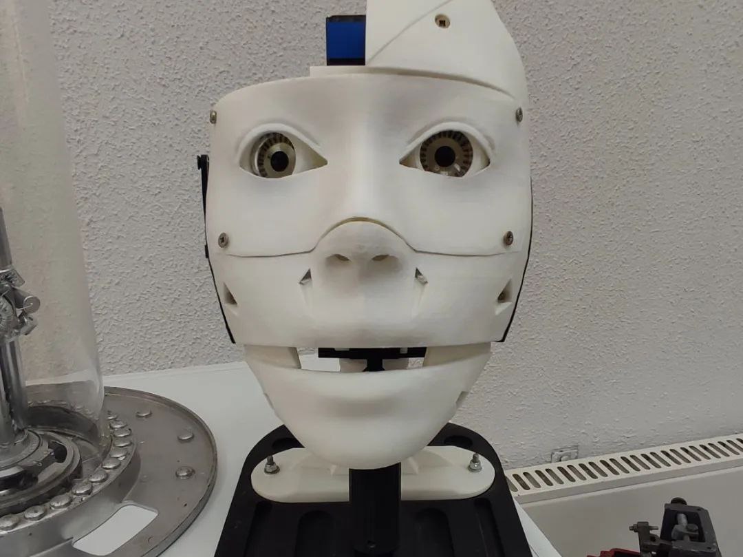 Роботы поселились в Бресте